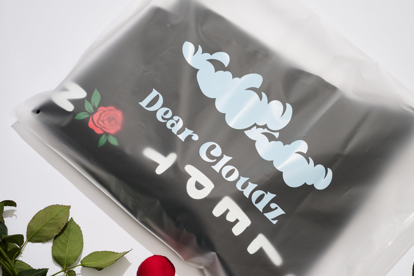 SLEPT ON Embroidered Hoodie