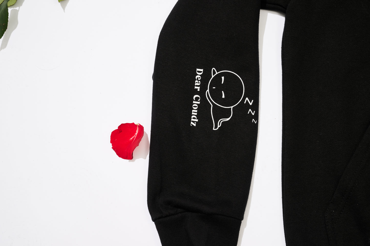 SLEPT ON Embroidered Hoodie